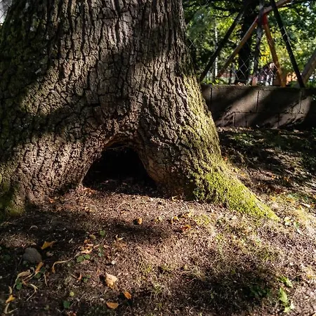 Hotel 4 Evszak Hegyihotel