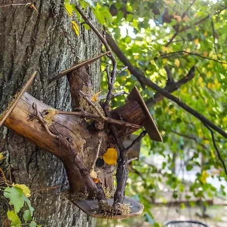 4 Evszak Hegyihotel Mátraháza