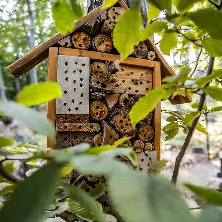4 Evszak Hegyihotel Hotel Mátraháza