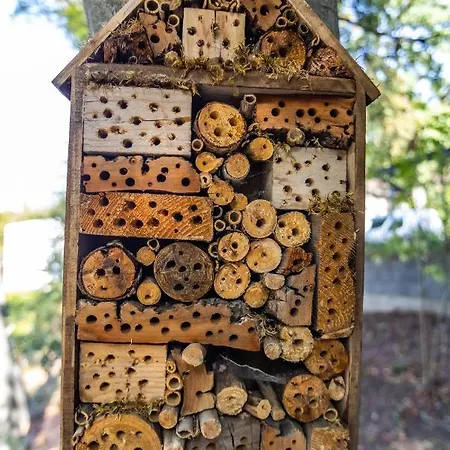 Hotel 4 Evszak Hegyihotel