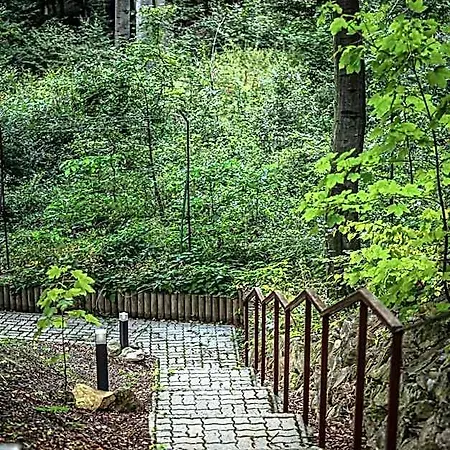 4 Evszak Hegyihotel 3* Mátraháza