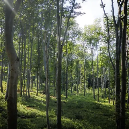 4 évszak Hegyihotel