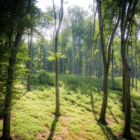 Hotel 4 Evszak Hegyihotel Mátraháza