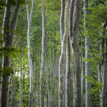 Hotel 4 Evszak Hegyihotel 3*