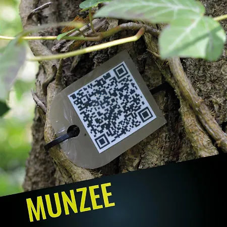 4 Evszak Hegyihotel 3*