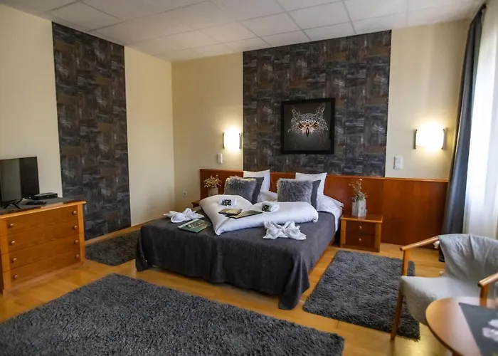 酒店 4 Evszak Hegyihotel
