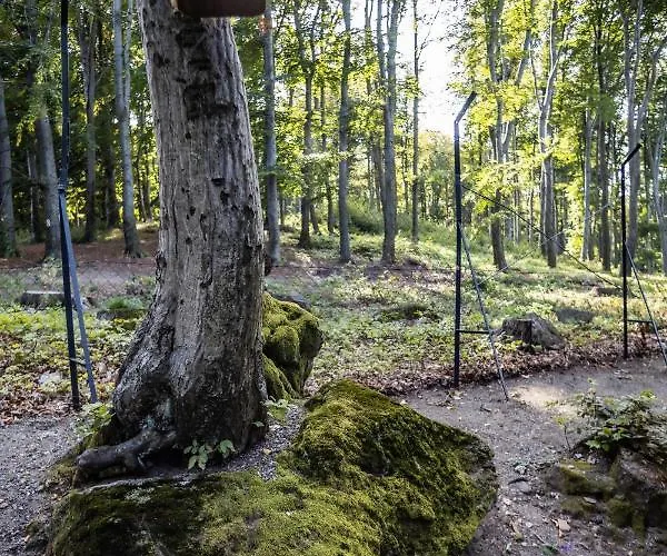 4 Evszak Hegyihotel Mátraháza